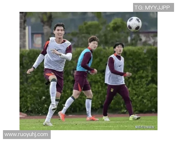 国足球星畅谈绿茵赛场风云共话拼搏精神与未来发展方向 国足球星畅谈绿茵赛场风云共话拼搏精神与未来发展方向