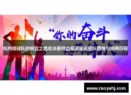 杭州排球队的蜕变之路总决赛特别报道展现团队精神与拼搏历程