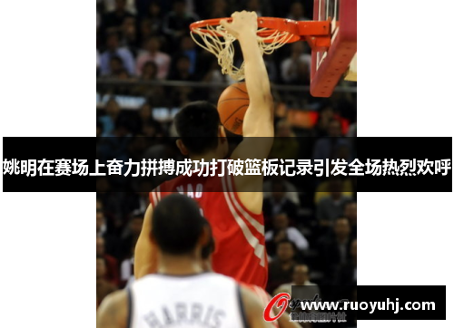 姚明在赛场上奋力拼搏成功打破篮板记录引发全场热烈欢呼