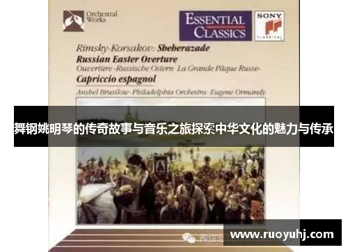 舞钢姚明琴的传奇故事与音乐之旅探索中华文化的魅力与传承