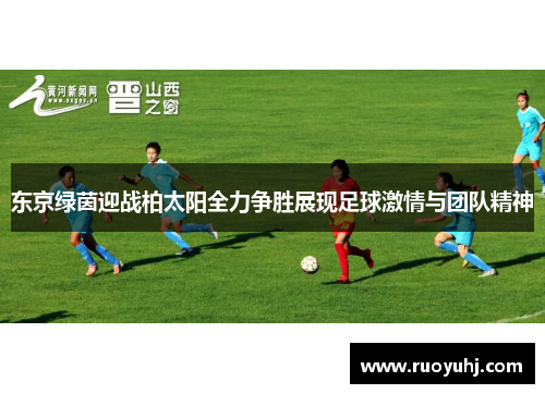 东京绿茵迎战柏太阳全力争胜展现足球激情与团队精神