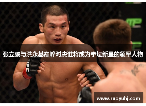 张立鹏与洪永基巅峰对决谁将成为拳坛新星的领军人物